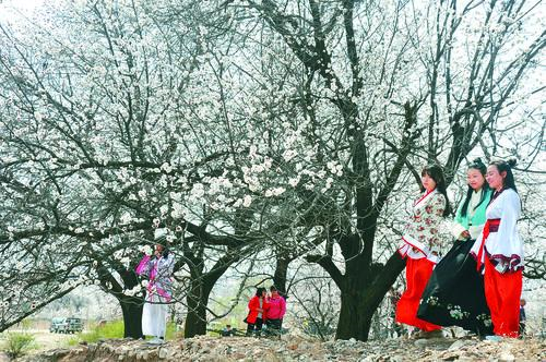 纬来体育直播背景